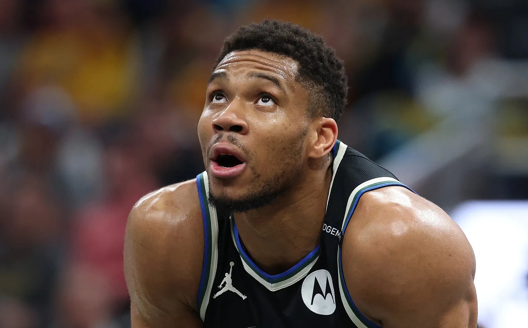 包含字母哥新星回归赛场表现惊艳，湖人未来可期！的词条